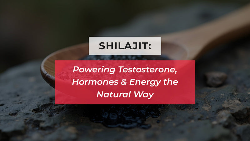 Shilajit: Powering Testosterone, Hormones & Energy the Natural Way-SEHATUP WELLNESS PRIVATE LIMITED