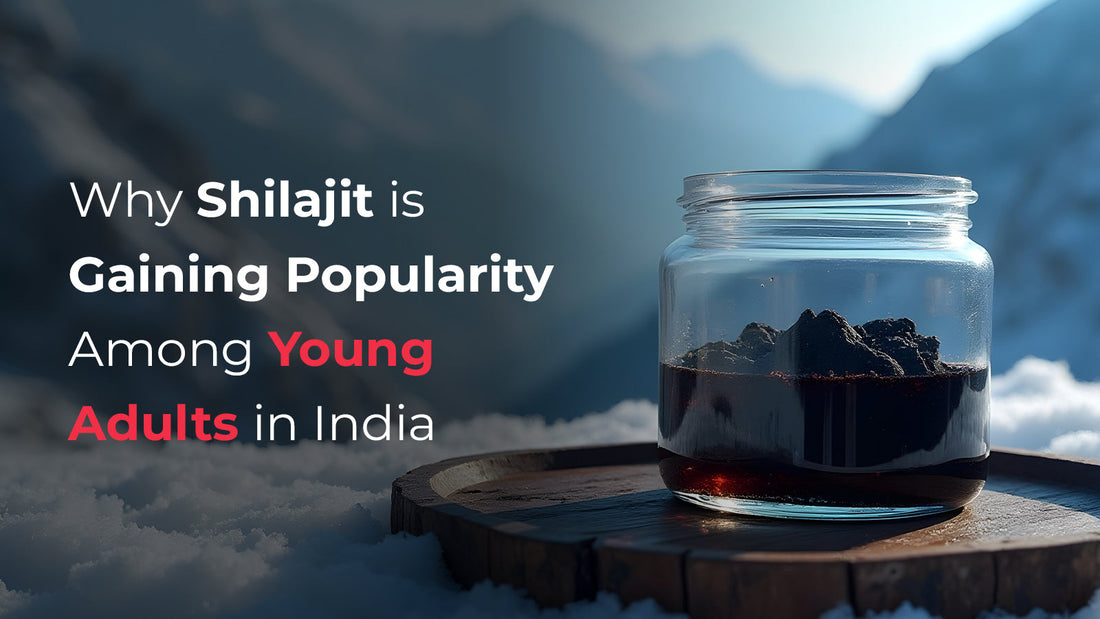 Why Shilajit is Gaining Popularity Among Young Adults in India-SEHATUP WELLNESS PRIVATE LIMITED