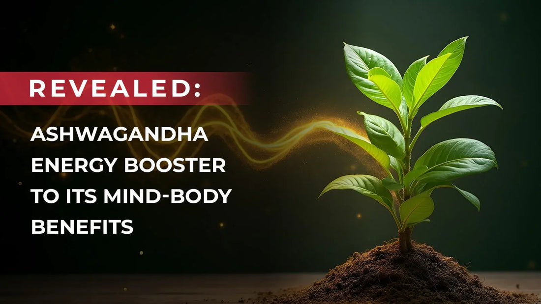 Revealed: Ashwagandha Energy Booster to Its Mind-Body Benefits