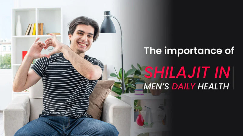 The importance of shilajit in men’s daily health-SEHATUP WELLNESS PRIVATE LIMITED