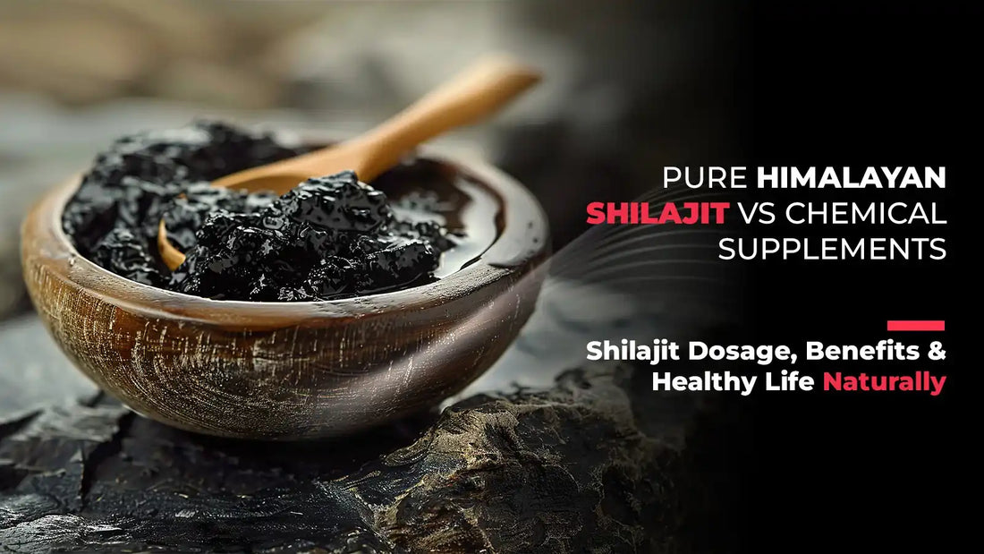 Pure Himalayan Shilajit vs Chemical Supplements – SEHATUP WELLNESS ...