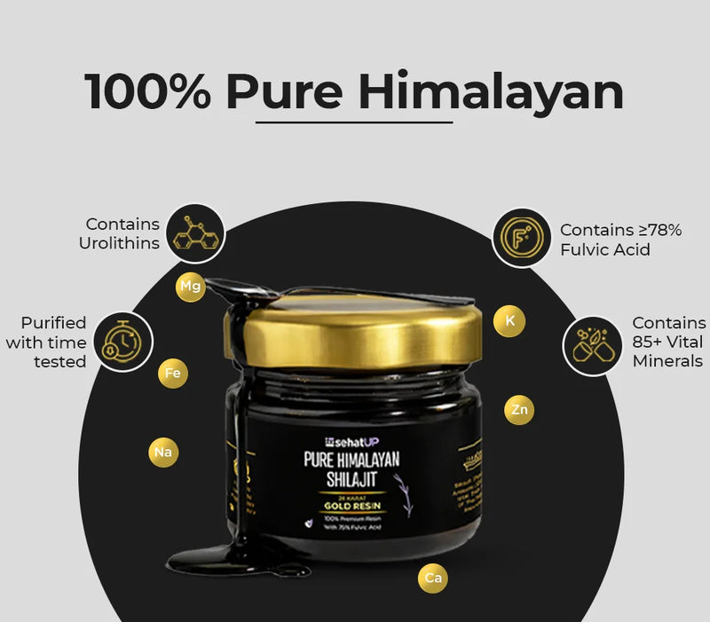 SehatUP Shilajit Gold Resin – Pure Himalayan Energy